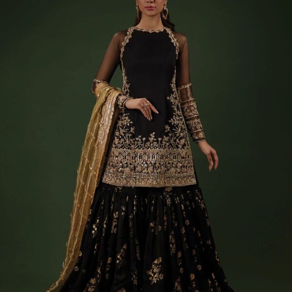 Designer  Top-Palazzo and Dupatta With  Embroidery